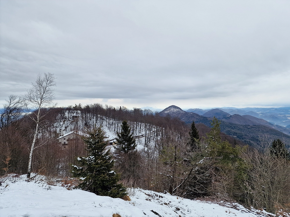 Slika je vidna v Google Chromu.