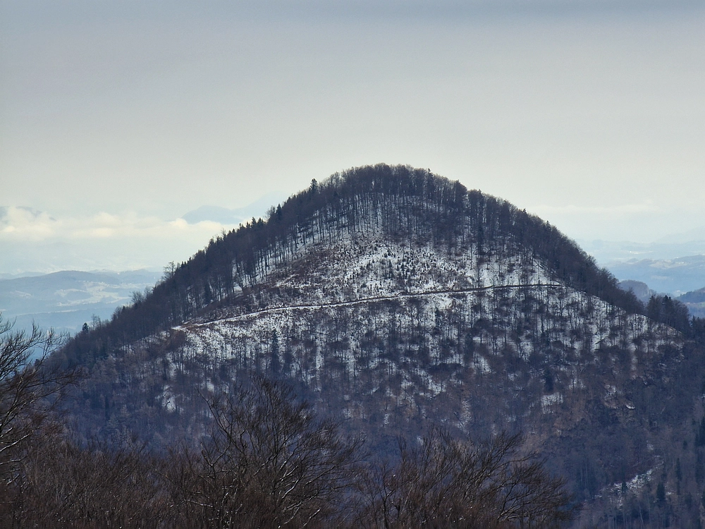 Slika je vidna v Google Chromu.