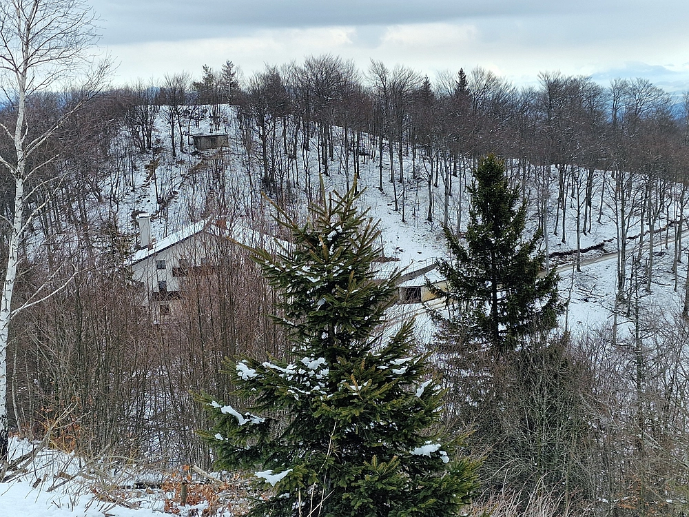 Slika je vidna v Google Chromu.