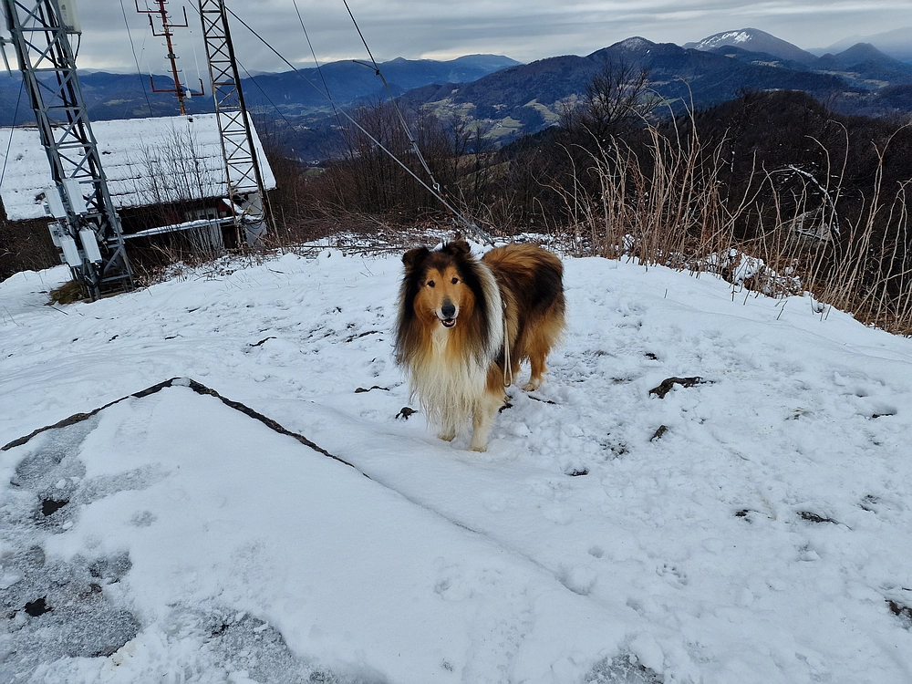 Slika je vidna v Google Chromu.