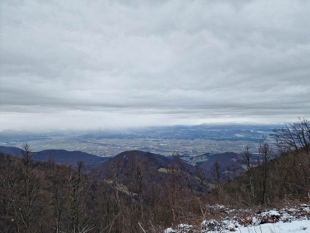 Slika je vidna v Google Chromu.