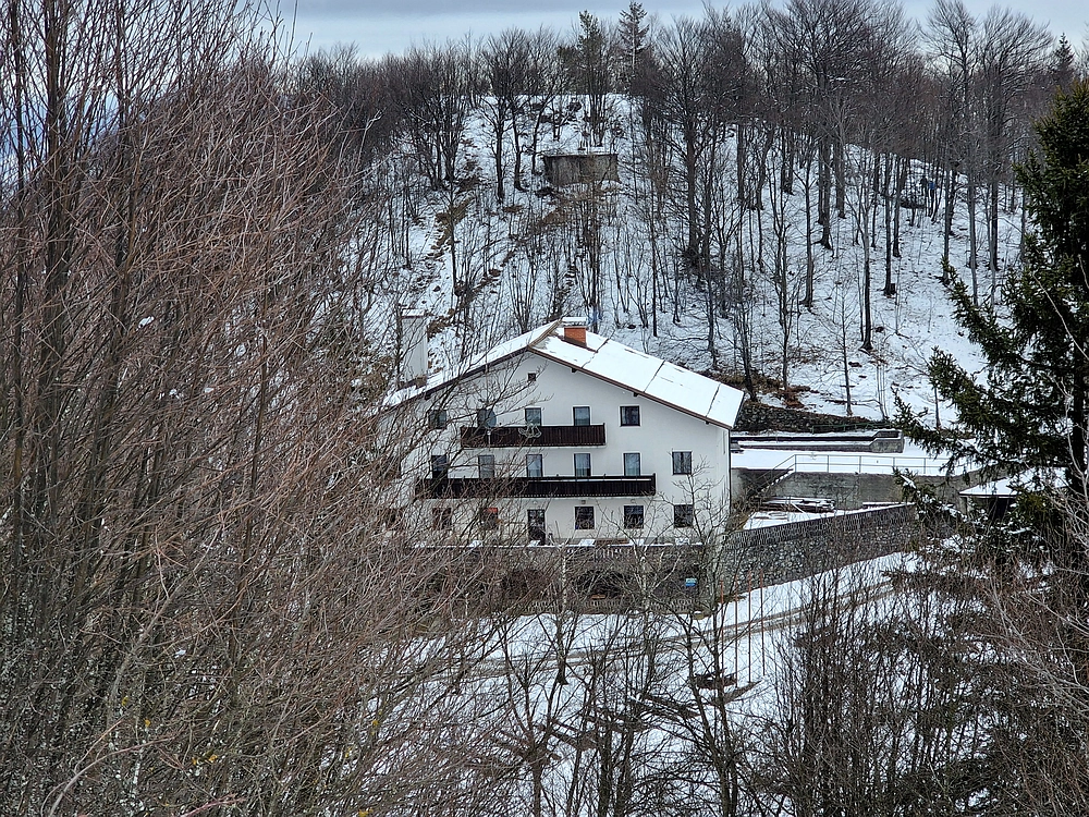 Slika je vidna v Google Chromu.