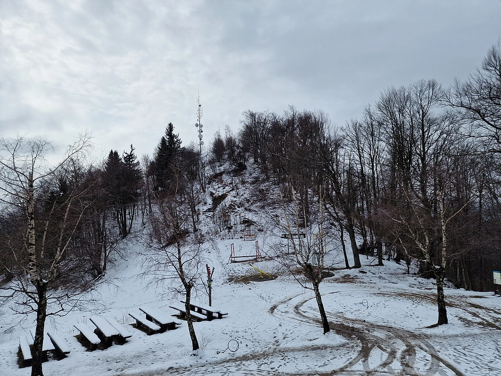 Slika je vidna v Google Chromu.