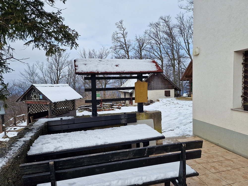 Slika je vidna v Google Chromu.