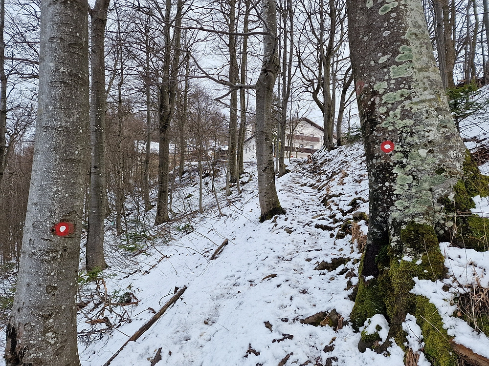 Slika je vidna v Google Chromu.