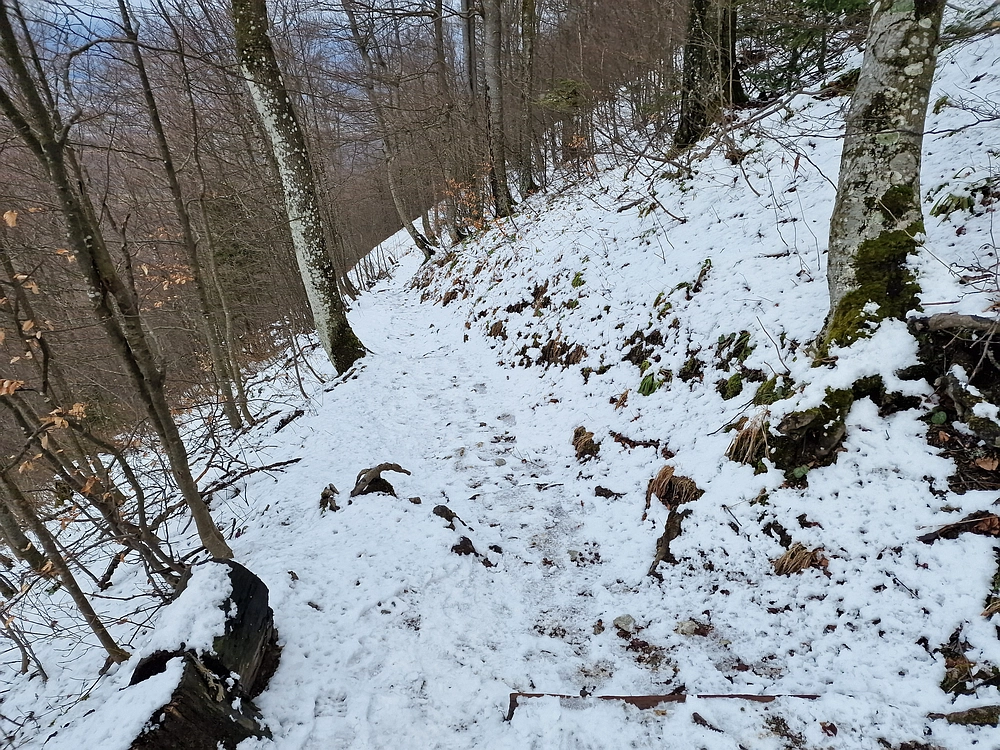 Slika je vidna v Google Chromu.