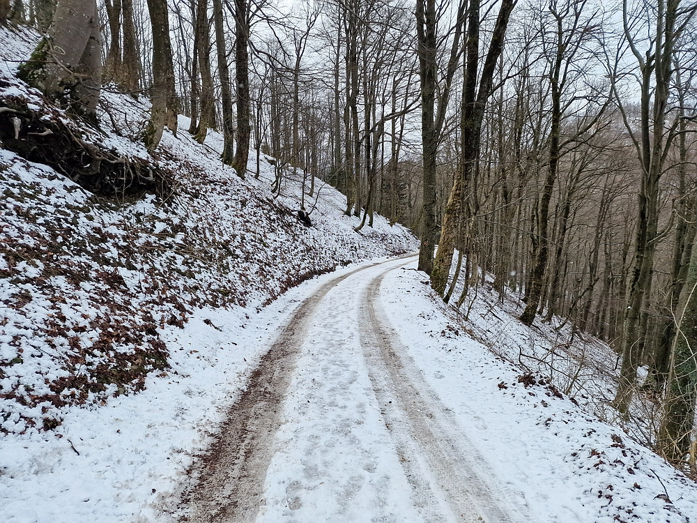 Slika je vidna v Google Chromu.