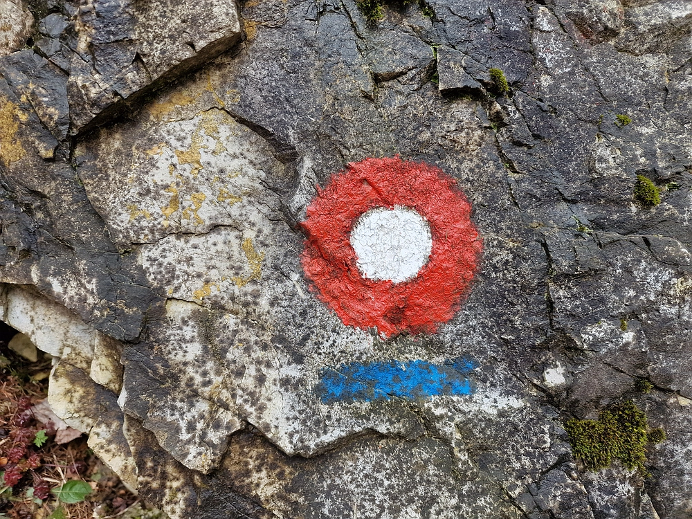 Slika je vidna v Google Chromu.