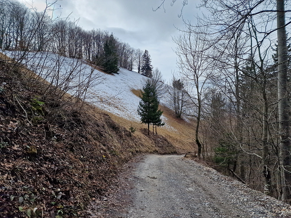 Slika je vidna v Google Chromu.