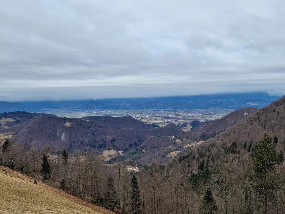 Slika je vidna v Google Chromu.