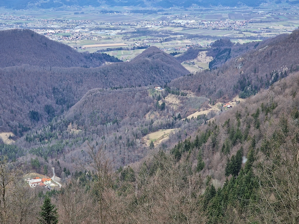 Slika je vidna v Google Chromu.
