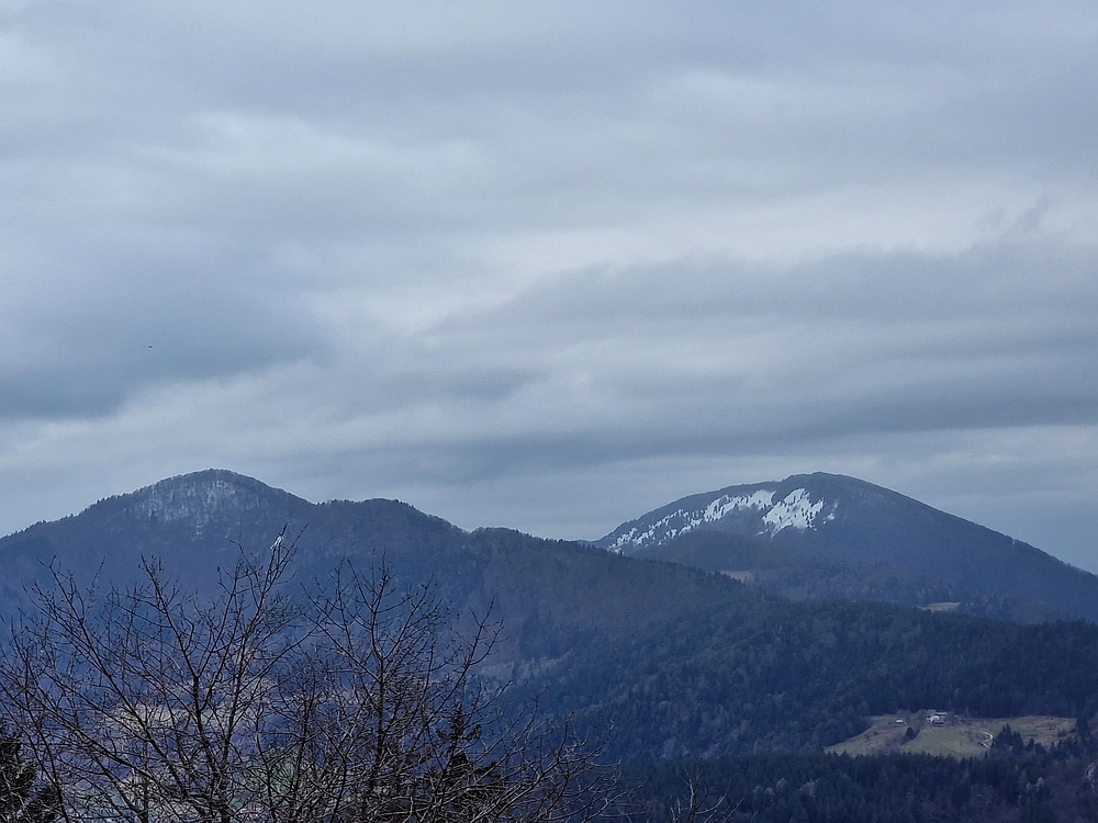 Slika je vidna v Google Chromu.