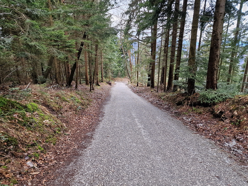 Slika je vidna v Google Chromu.