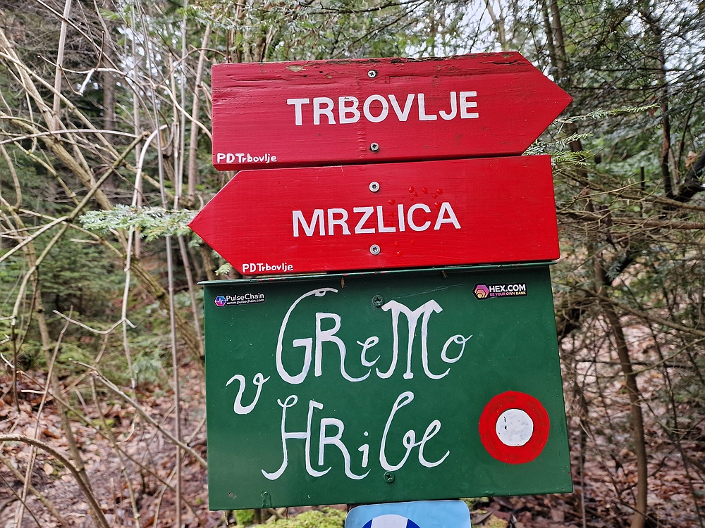 Slika je vidna v Google Chromu.