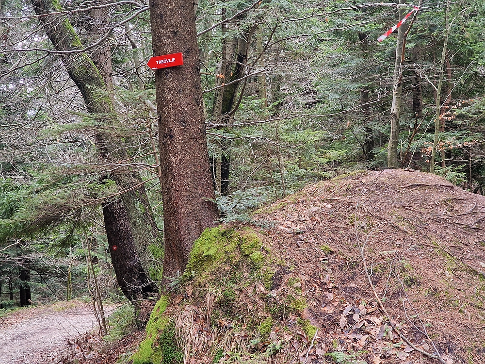 Slika je vidna v Google Chromu.