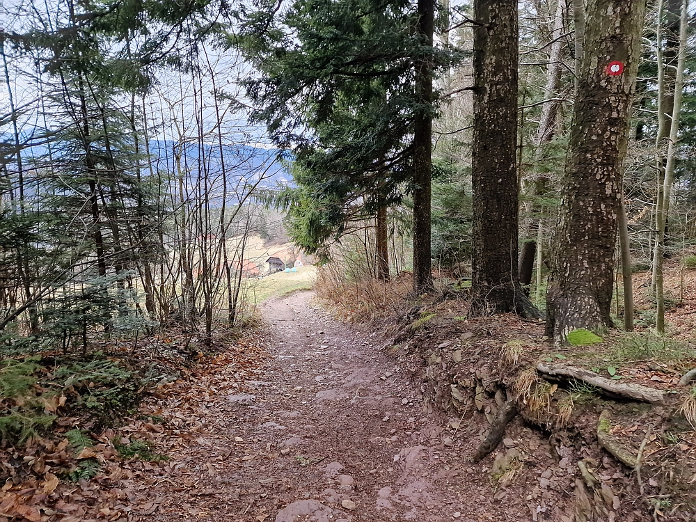 Slika je vidna v Google Chromu.