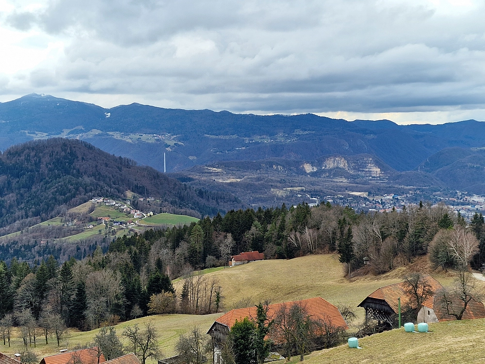 Slika je vidna v Google Chromu.