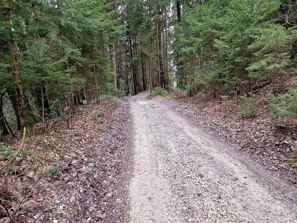 Slika je vidna v Google Chromu.