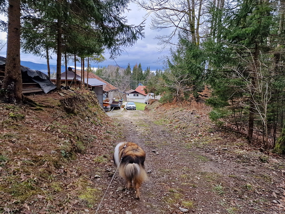 Slika je vidna v Google Chromu.