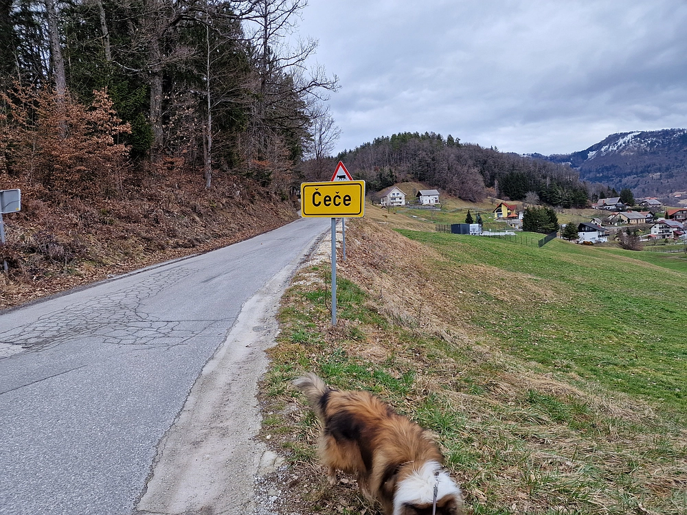 Slika je vidna v Google Chromu.