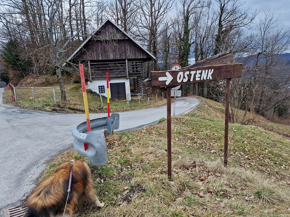 Slika je vidna v Google Chromu.