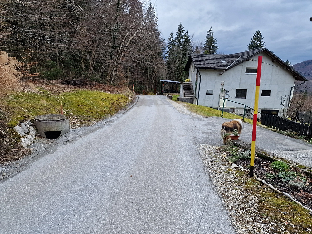 Slika je vidna v Google Chromu.