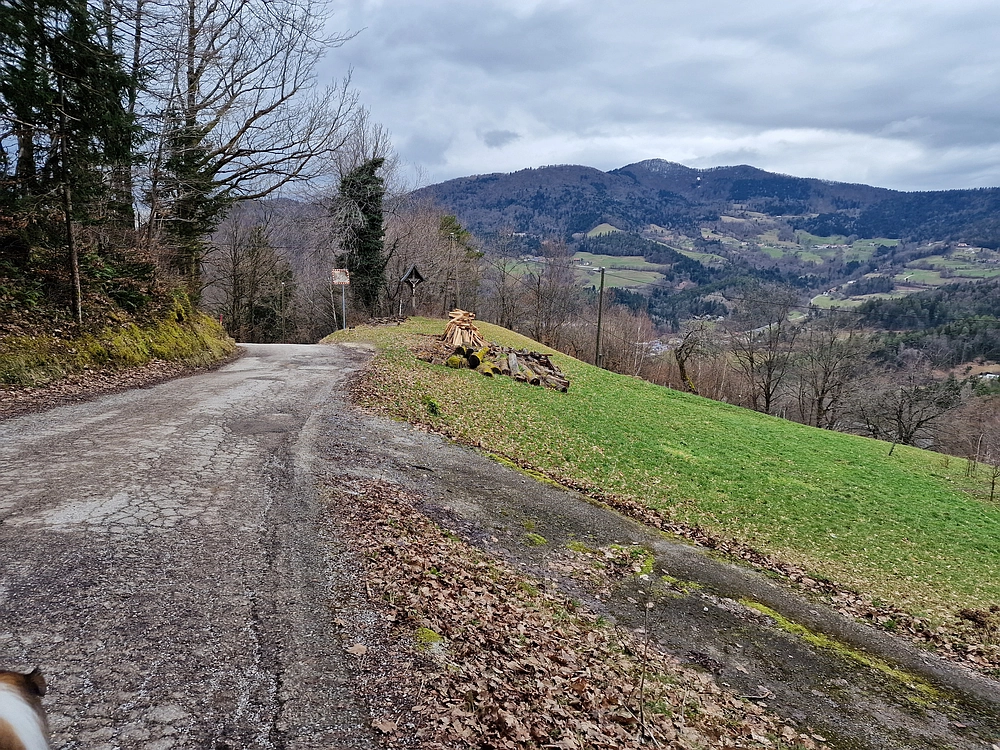 Slika je vidna v Google Chromu.