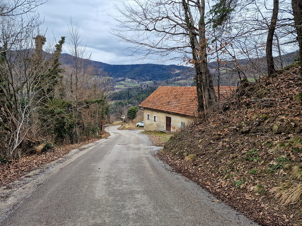 Slika je vidna v Google Chromu.