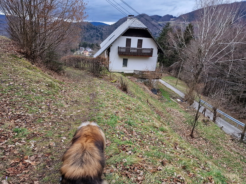 Slika je vidna v Google Chromu.