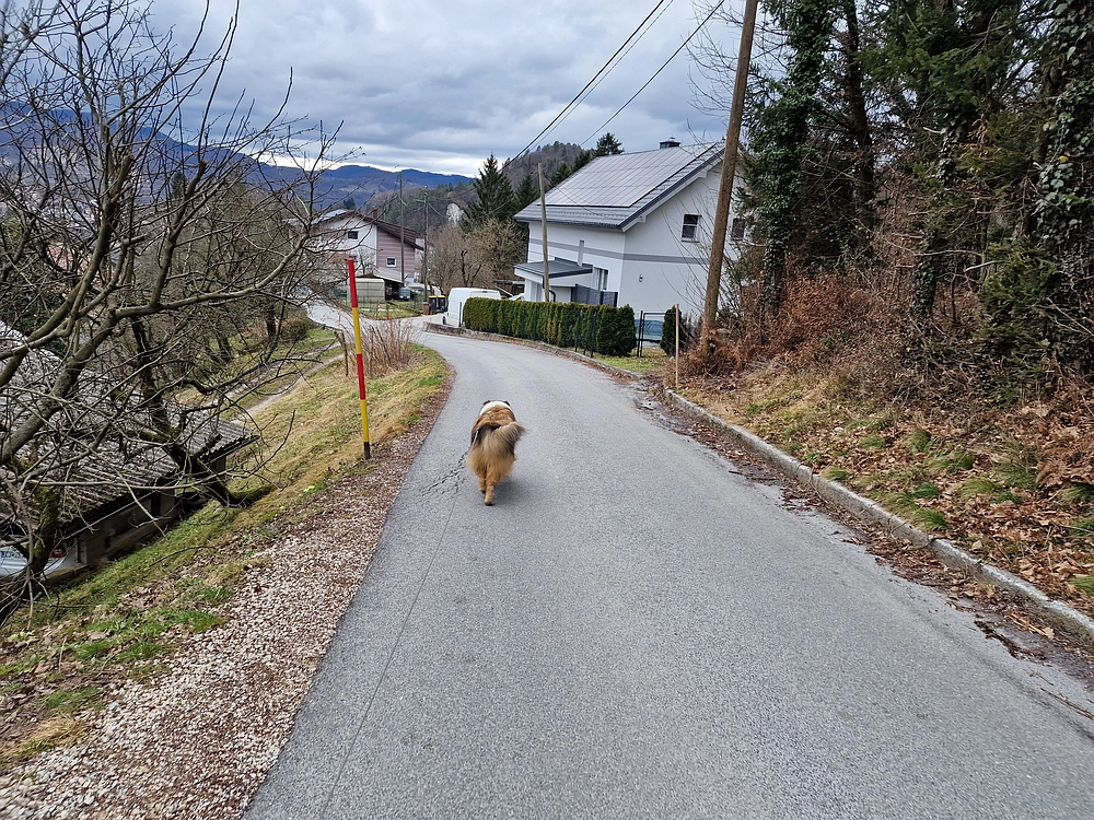 Slika je vidna v Google Chromu.