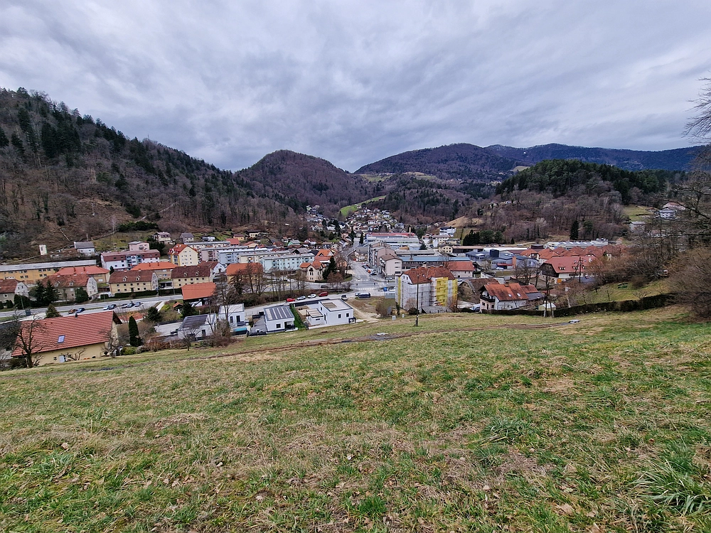 Slika je vidna v Google Chromu.