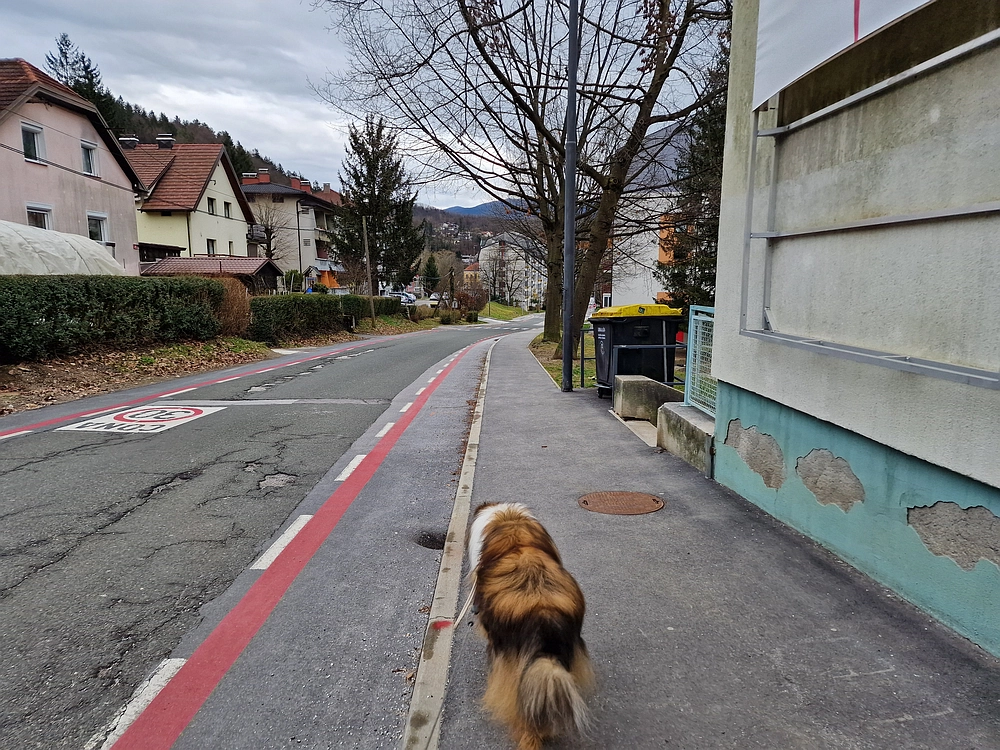 Slika je vidna v Google Chromu.