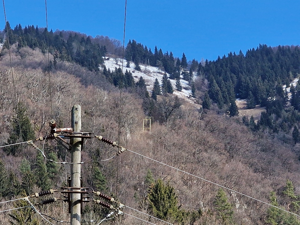 Slika je vidna v Google Chromu.