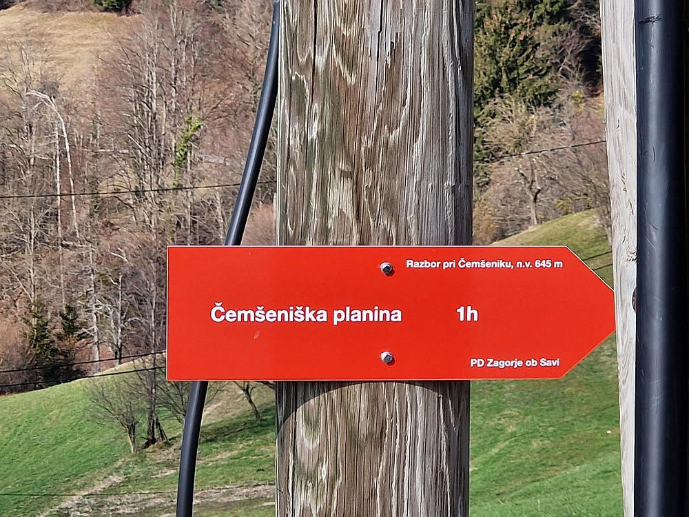 Slika je vidna v Google Chromu.