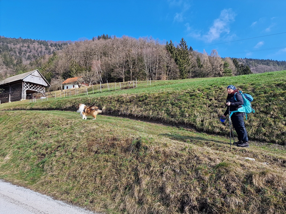Slika je vidna v Google Chromu.