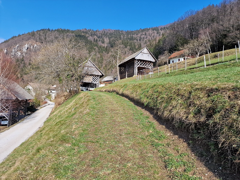 Slika je vidna v Google Chromu.