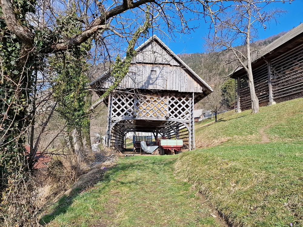 Slika je vidna v Google Chromu.