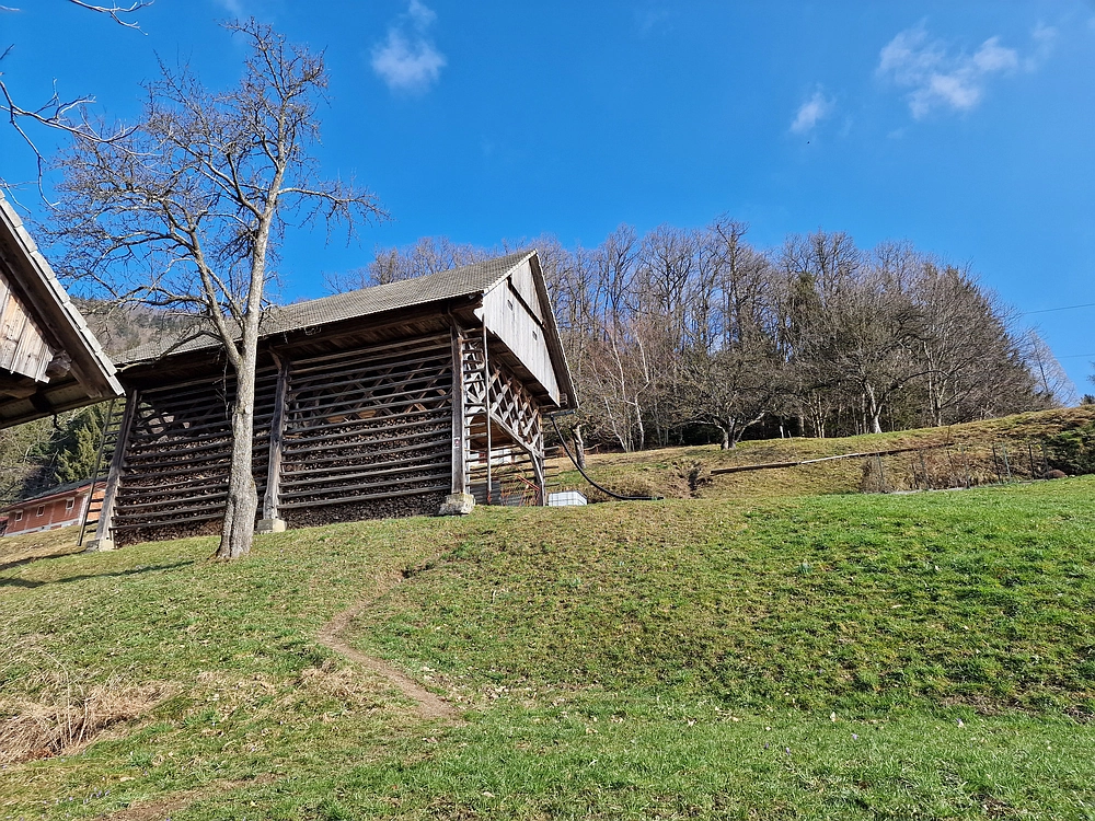 Slika je vidna v Google Chromu.