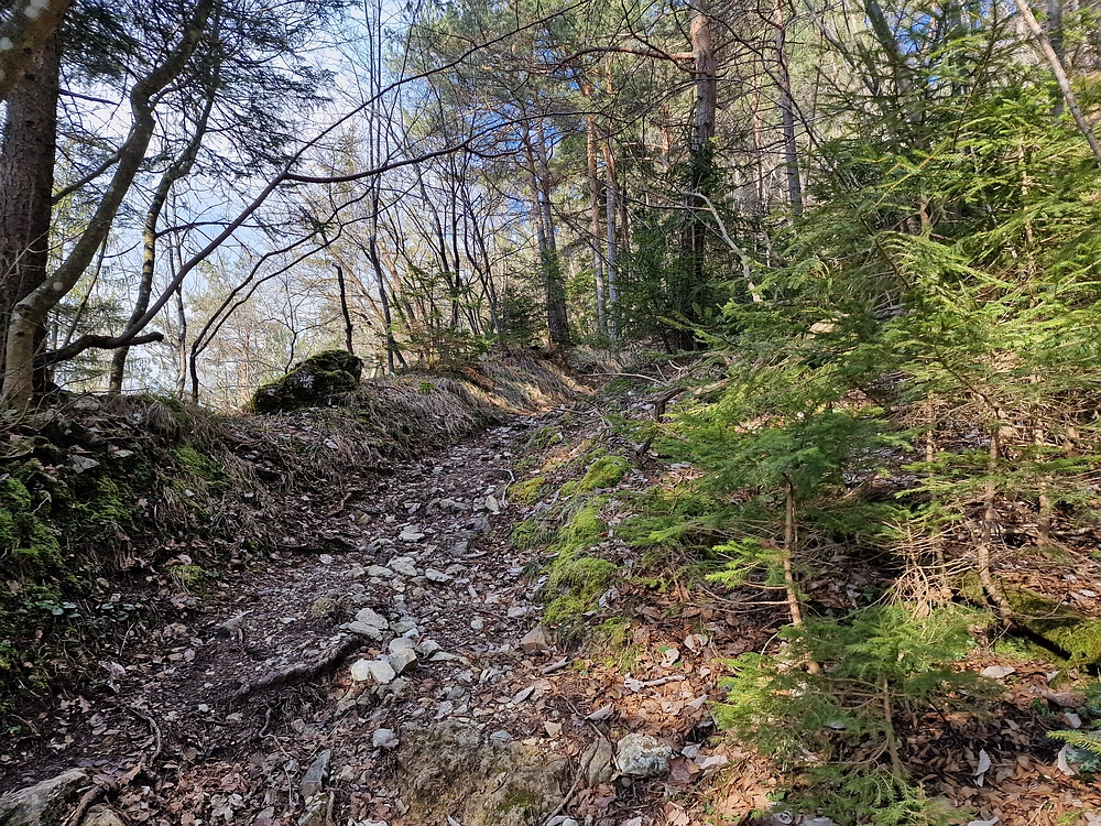 Slika je vidna v Google Chromu.