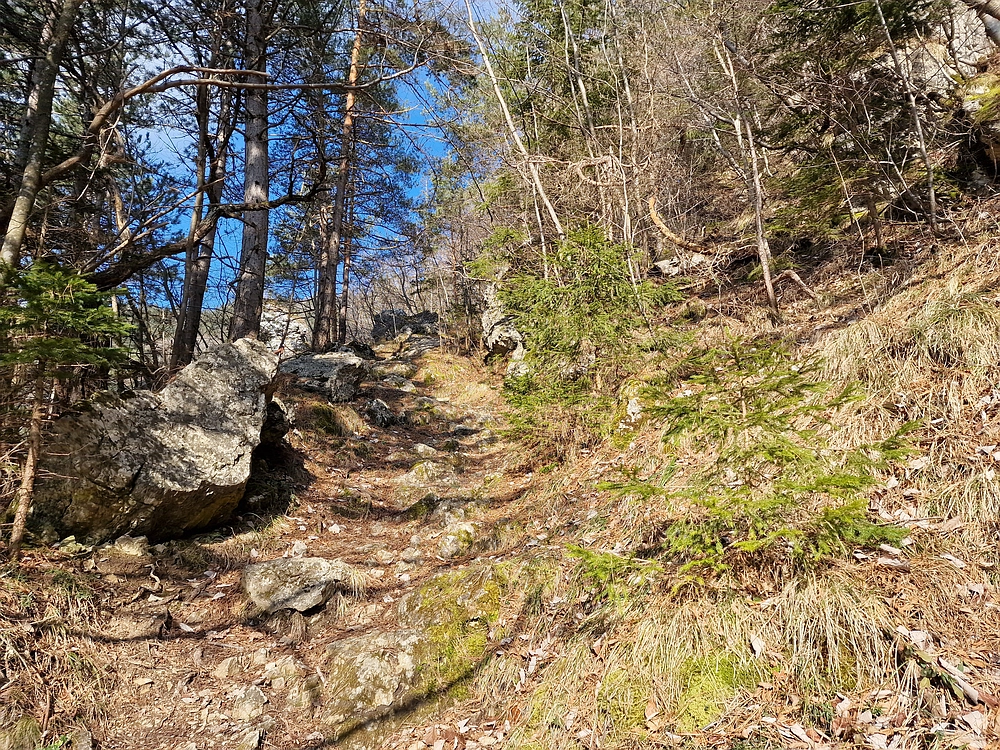 Slika je vidna v Google Chromu.