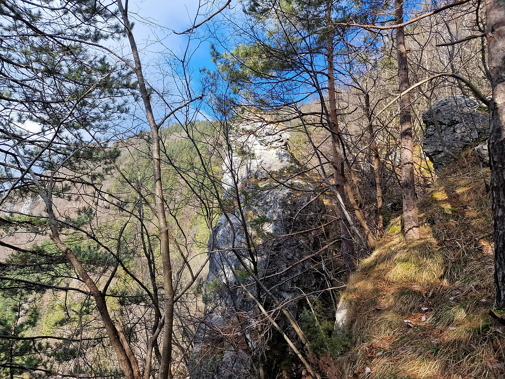 Slika je vidna v Google Chromu.