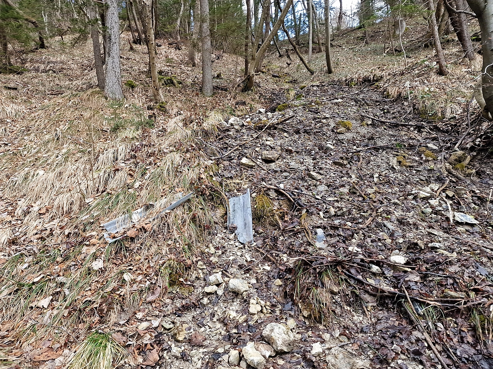 Slika je vidna v Google Chromu.