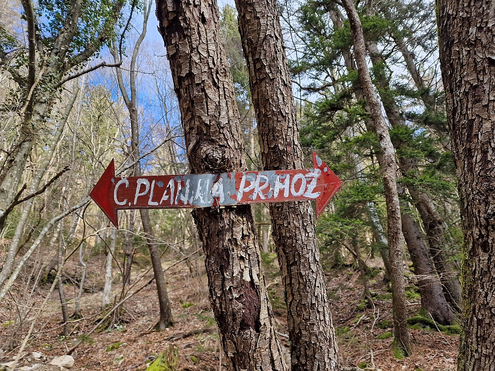 Slika je vidna v Google Chromu.