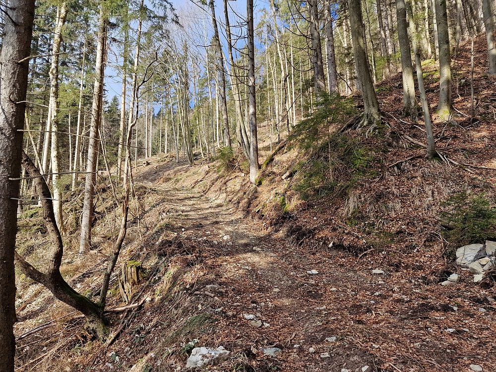 Slika je vidna v Google Chromu.