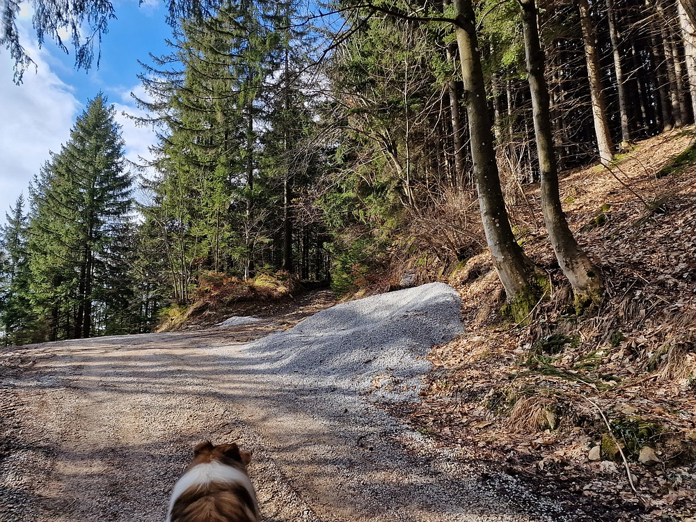 Slika je vidna v Google Chromu.