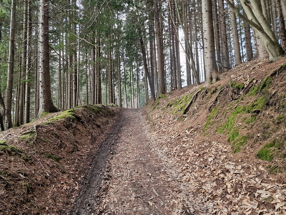 Slika je vidna v Google Chromu.