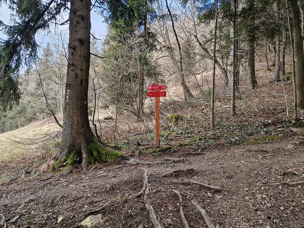 Slika je vidna v Google Chromu.