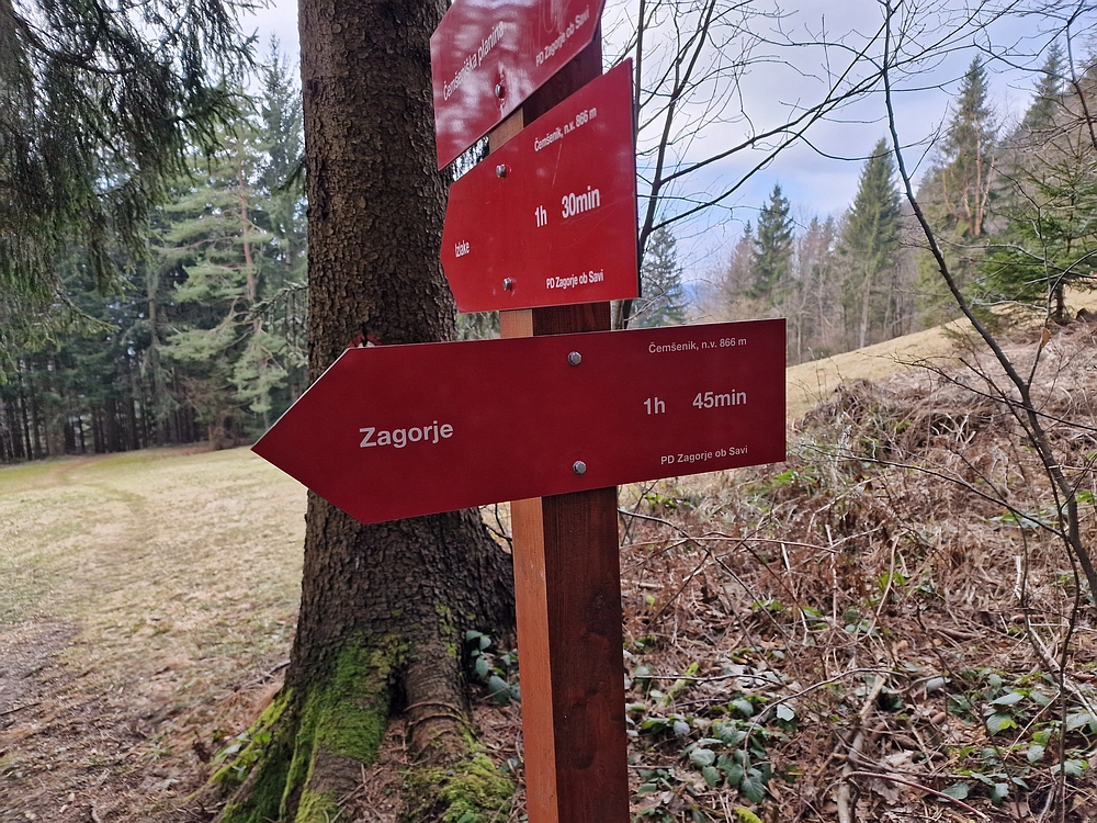 Slika je vidna v Google Chromu.