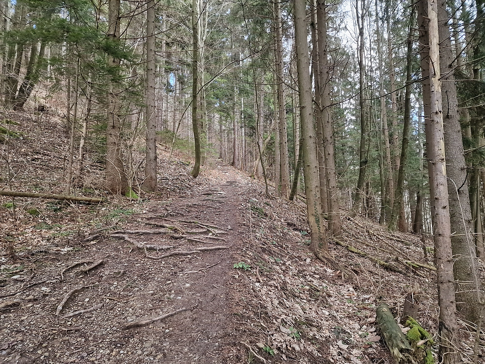 Slika je vidna v Google Chromu.