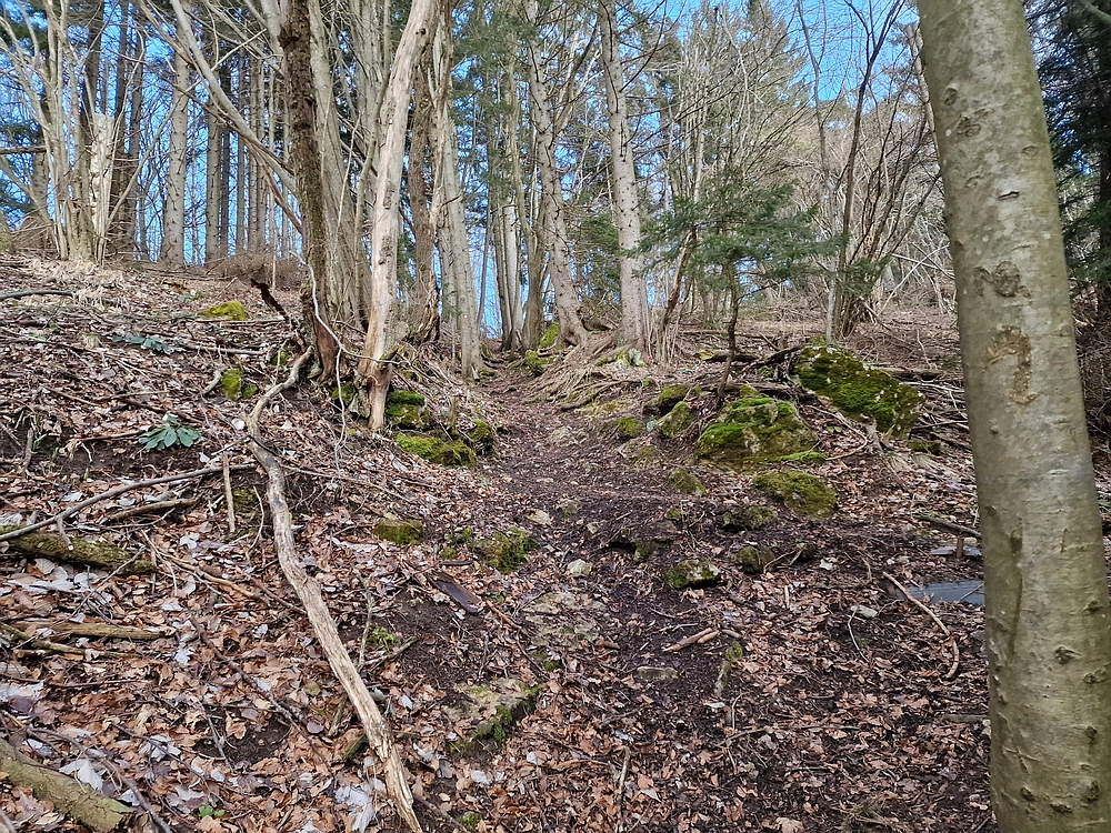 Slika je vidna v Google Chromu.